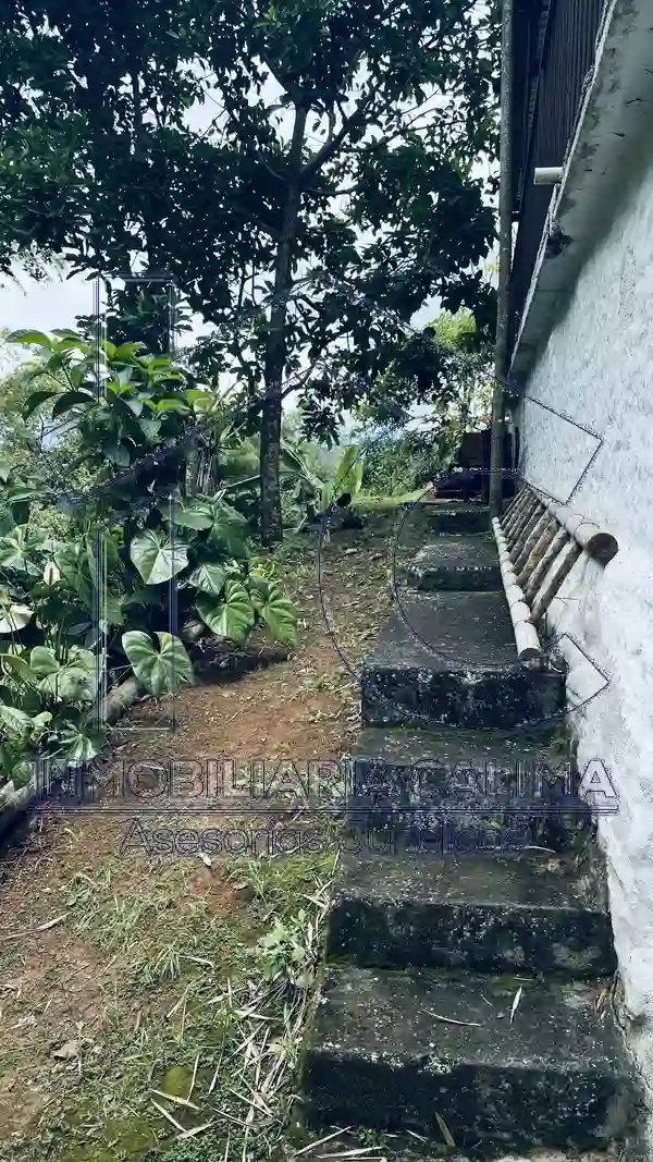 Finca Calimita